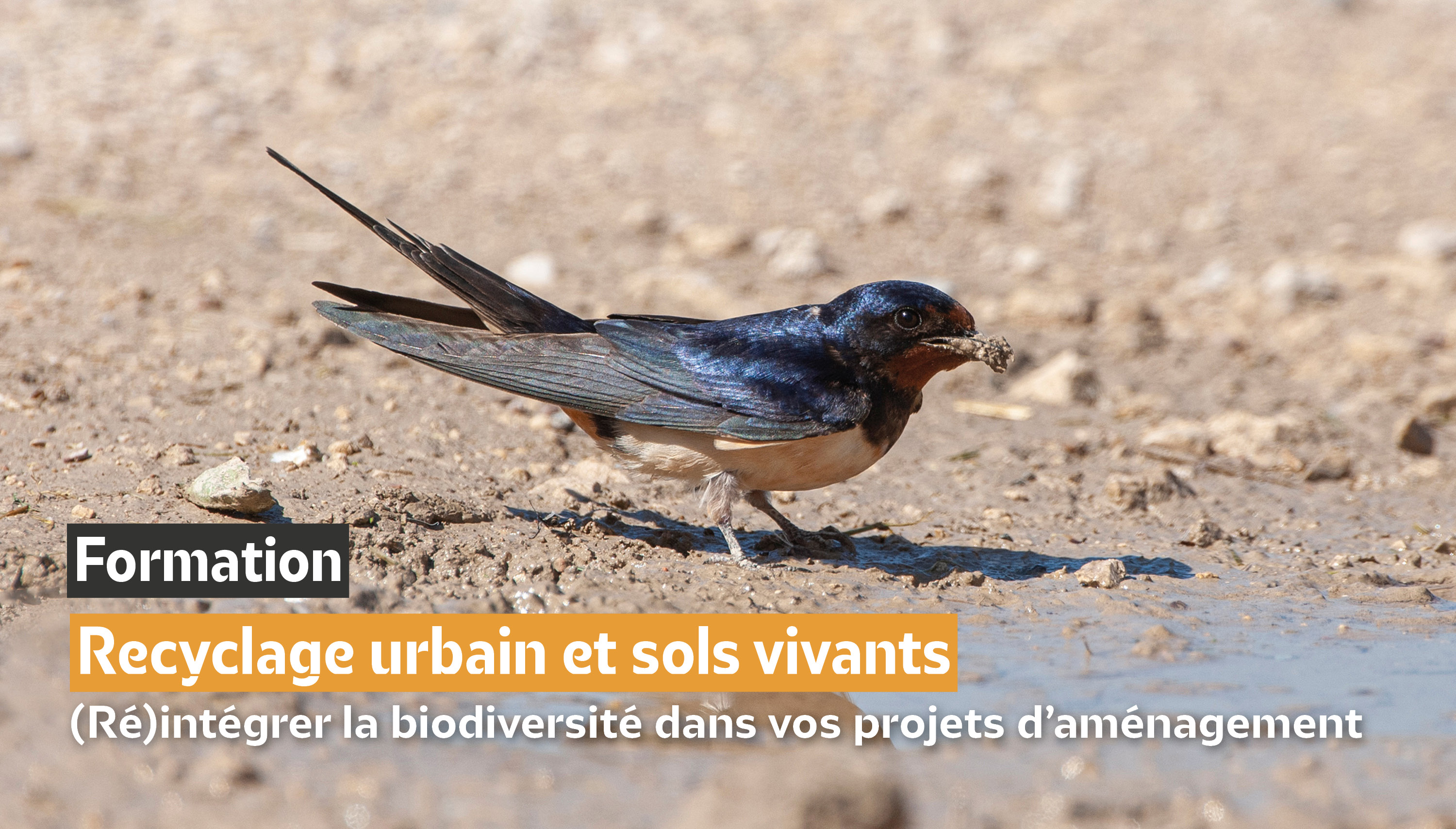 Formation : Recyclage urbain et sols vivants